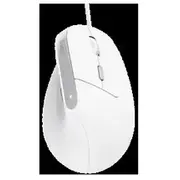 Datorpele Trust Bayo Ii White 25397  8713439253979 84716070