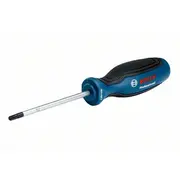 Skrūvgriezis Tx25 x 100Mm  1600A01V0D 4059952522852