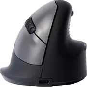 Mouse Usb Optical Wrl/Right Black Rgohewl R-Go Tools  8719274491613
