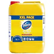 Domestos Professional Citrus Fresh Dezinfekcijas un tīrīšanas līdzeklis 5L koncentrāts 10  101104952 101104003 /