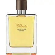 Hermes Mens Terre D Eau Intense Vetiver De Parfum 200Ml - One Size  3346131431625 33030010