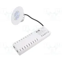 Lamp Led emergency luminaire Roundtech Ip65 white 1.1W 200Lm  Rt2Rseo200Stf1Hip