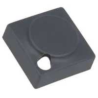 Button rectangular grey polyamide 15.5X15.5Mm  829.000.021