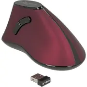 Delock Ergonomic vertical optical 5-Button mouse 2.4 Ghz wireless  12528 4043619125289