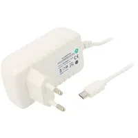 Power supply switched-mode mains,plug 5Vdc 2A 10W Plug Eu  Posb05200A-Whmicro