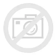 Asus Rog Xbox Ally Rc73Ya-Nh002W Amd Ryzen Z2 A Tragbare Spielkonsole 17,8 cm 7 weiß  90Nv00G1-M002H0 4711636195119 21131275