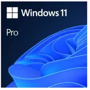 Microsoft Windows 11 Professional 64Bit English Intl 1Pk Dsp Oei Dvd Fqc-10528  889842905892 Oomicsw11P64En1