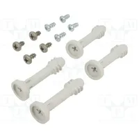 Set of screws for covers  Ss10256-4 Ss 10256-4