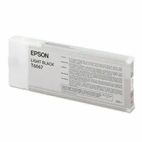 Epson T606700  Ink Cartridge Light Black C13T606700 010343864771