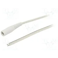 Cable 2X0.35Mm2 wires,DC 5,5/2,1 socket straight white 1.5M  S21-Tt-T035-150Wh
