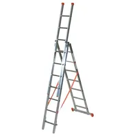 Facal Genia G250-3 Combination ladder  Fac-G250-3 8028406101048