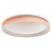 Aqara T1M Viedā Griestu Lampa  Cl-L02D 6975833352128