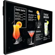 Philips Signage Solution P-Line 55Bdl3117P/00 Energieklasse G  8712581778736