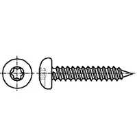 Screw 2.9X19 Head button Torx Tx10 A2 stainless steel  B2.9X19/Bn9995 3061860