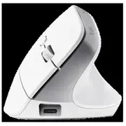 Datorpele Trust Bayo Ergonomic White 25399  8713439253993 20881619364
