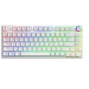 Klaviatūra Savio Wireless Mechanical Phenix White 75 Outemu Yellow Pro  Savgk-Phenix Gat 5901986049302 Uksaorgbsapyabs