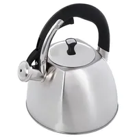 Non-Electric kettle Maestro Mr1333 Silver 3 L  Mr-1333 4820096550984 Agdmeoczn0021