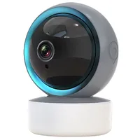 Smart Security kamera Eye, 355, Wifi, P / T, 5Mp, Onvif  Ls11936