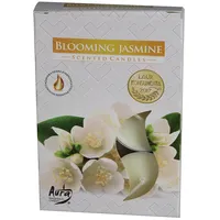 Tējassvece Aura Blooming Jasmine 3-4H 6Gab.  028649 5906927151694 294200