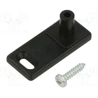Wall mounting element for enclosures black  Mt2.9