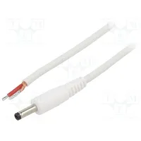 Cable 1X1Mm2 wires,DC 4,0/1,7 plug straight white 1.5M  P40-Tt-C100-150Wh