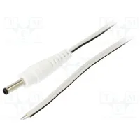 Cable 2X0.35Mm2 wires,DC 3,5/1,3 plug straight white 0.5M  P13-Tt-T035-050Wh