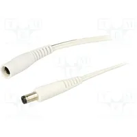 Cable 2X0.5Mm2 Dc 5,5/2,1 socket,DC 5,5/1,7 plug straight  P48-C21-T050-050Wh