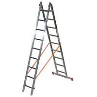 Facal Genia G300-2 Combination ladder  Fac-G300-2 8028406101109