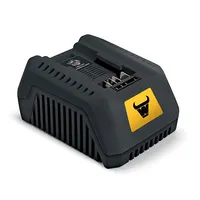 Mowox  Quick Charger 4A, 200W, Suitable for 40V Li-Ion Battery Bc 85 6932495601261