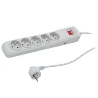 Plug socket strip protective Sockets 5 250Vac 10A grey  R5/Sz/50