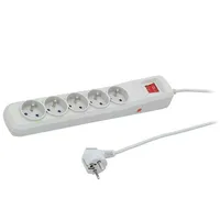 Plug socket strip protective Sockets 5 250Vac 10A grey  R5/Sz/30