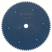 Ripz. disks 305X25,4Mm Expert for Steel Z80  2608643061 3165140737746