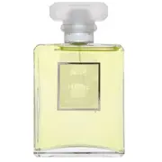 Chanel No.19 Poudré parfimērijas ūdens sievietēm 100 ml  Parf7332 3145891194906 33030010