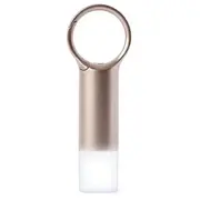 Lexon Nomaday Flash Led Keychain gold Ll137D  3660491202344 85131000