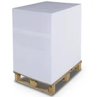 Papīrs Serixo, 46 x 64 cm, 250 g/m2, balta krāsa, 1 loksne  100-10787