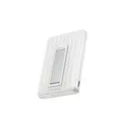 Power Bank Usb 10000Mah Rapid/Mag White 5022801022 Ecoflow  4895251647991
