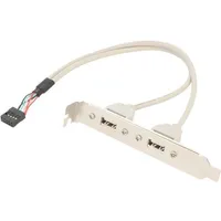 Transition adapter Usb A socket x2,10pin pin header 0.25M  Ccusbreceptacle