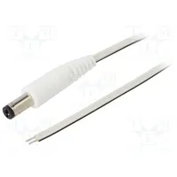 Cable 2X0.35Mm2 wires,DC 5,5/2,1 plug straight white 0.5M  P21-Tt-T035-050Wh