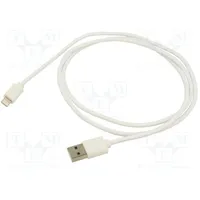 Cable Usb 2.0 Apple Lightning plug,USB A plug nickel plated  Ak-Usb-30