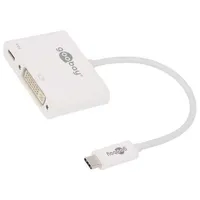 Adapter Power Delivery Pd,Usb 3.0 0.15M white 60W  Usb.c-Adap-09 62108