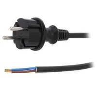 Cable 2X1.5Mm2 Cee 7/17 C plug,wires Pvc 4M black 16A 250V  W-98366