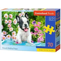 Castorland Puzzle 70 French bulldog puppy Castor  5904438070152