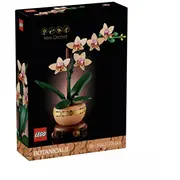 Mini Orchid 10343  7485502 5702017814643