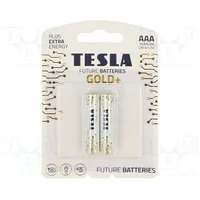 Battery alkaline 1.5V Aaa non-rechargeable Ø10.5X44.5Mm  Bat-Lr03G/Tesla-B2 8594183391120