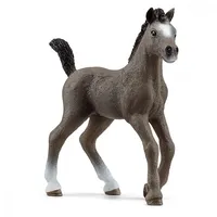 Figurine Cheval de Selle Francais Foal  Wfslhz0Uc013957 4059433578736 13957
