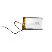 Universal Gps navigation battery with two wires 57X40 mm  161220160100 9854030002623