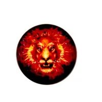 iLike Universal Pop Holder Fire Lion  4-Iliunph39 4752192072087
