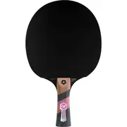Cornilleau Excell 3000 Carbon 413000  3222764130008