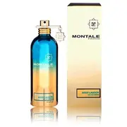 Montale Aoud Lagoon Smaržas Edp 100 ml  3760260454223