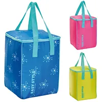 Termiskā soma Easy Style Vertical asorti, dzeltena/zila/rozā  112305347 8000303309123